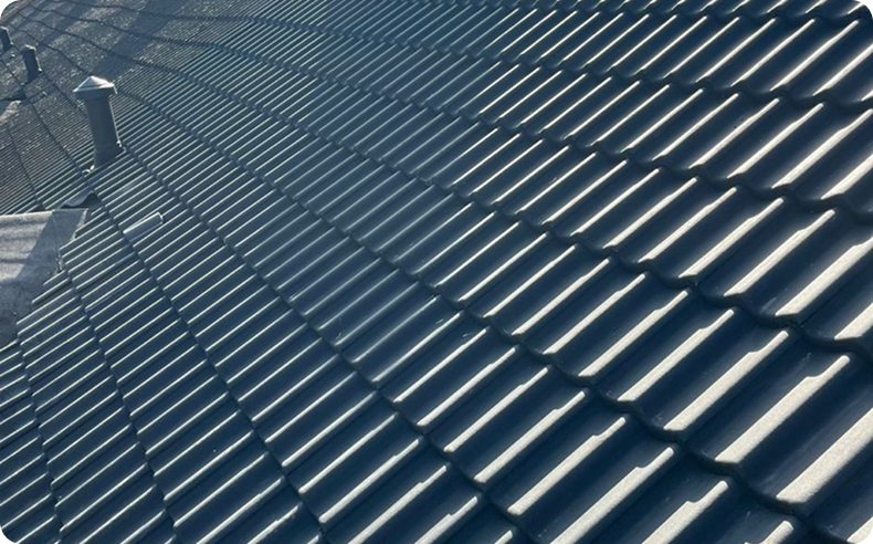 Pannendak in limburg Dak Direct Limburg